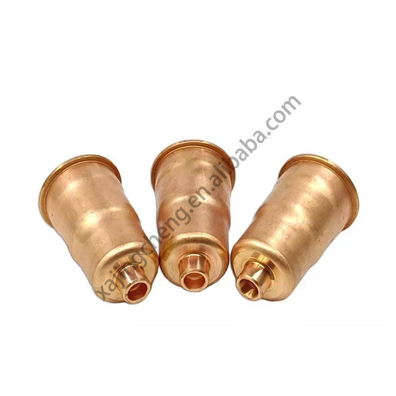 Pour les véhicules à moteur diesel, le revêtement de l'injecteur de taille standard pour le moteur de camion D5010295301